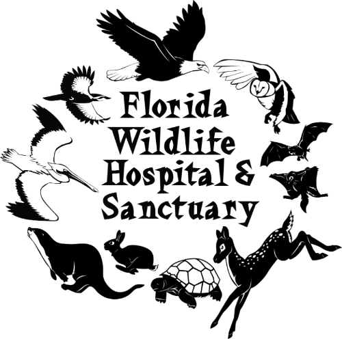 Florida Wildlife Hospital Logo