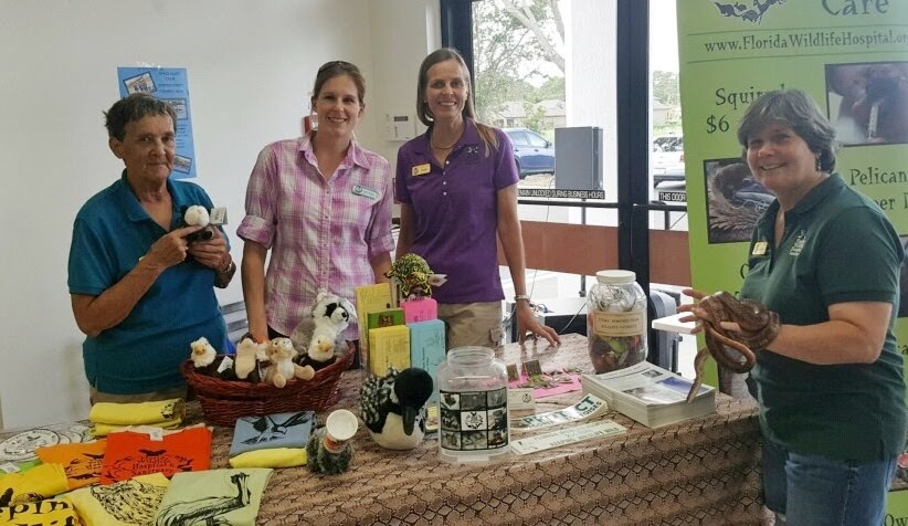 Internships Florida Wildlife Hospital