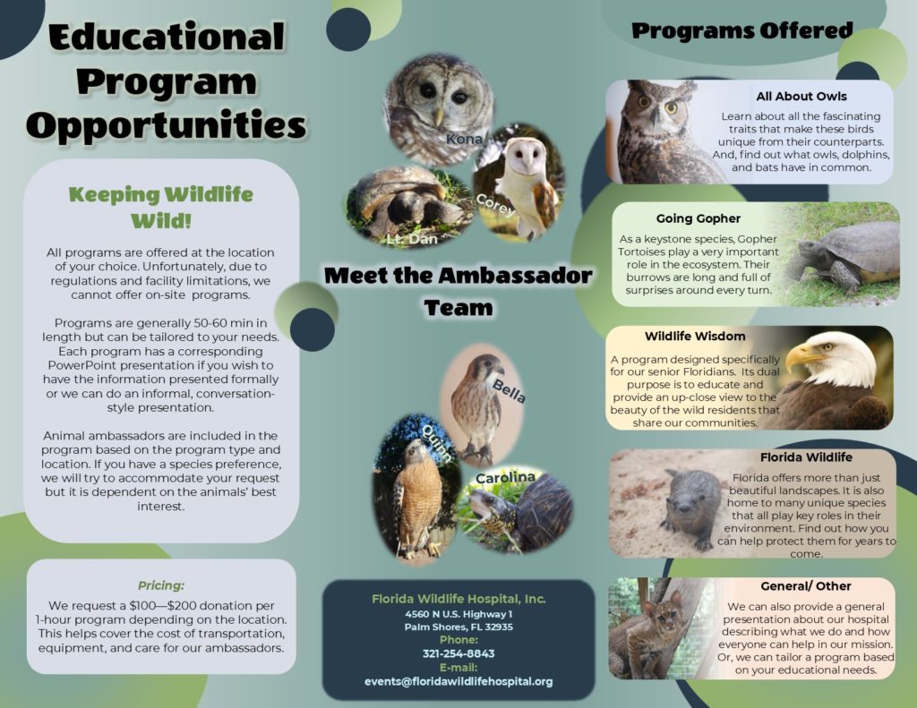 Educational Programs and Outreach – Florida Wildlife Hospital